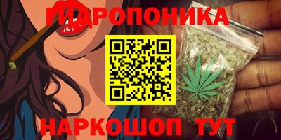дмт Партизанск