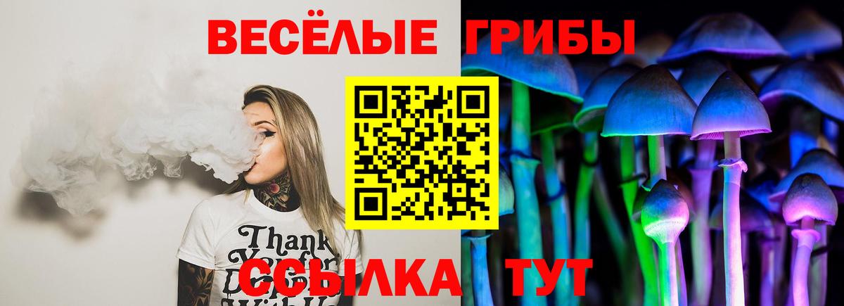Галлюциногенные грибы мухоморы  Вход с VPN  Соль-Илецк 